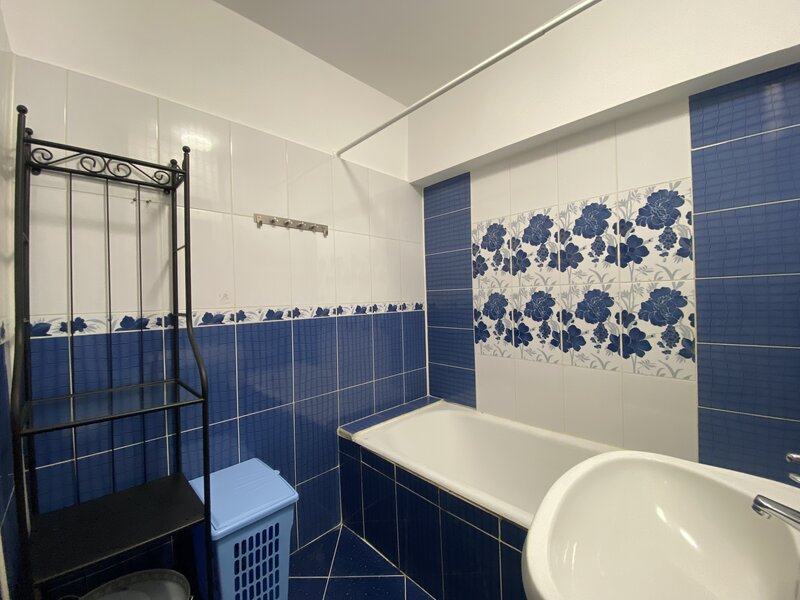 Titulescu, Ana Pan, curat, renovat, liber.